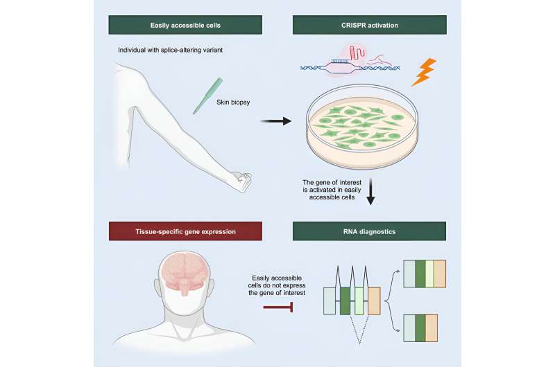 Study could pave the way for better diagnosis of rare genetic diseases