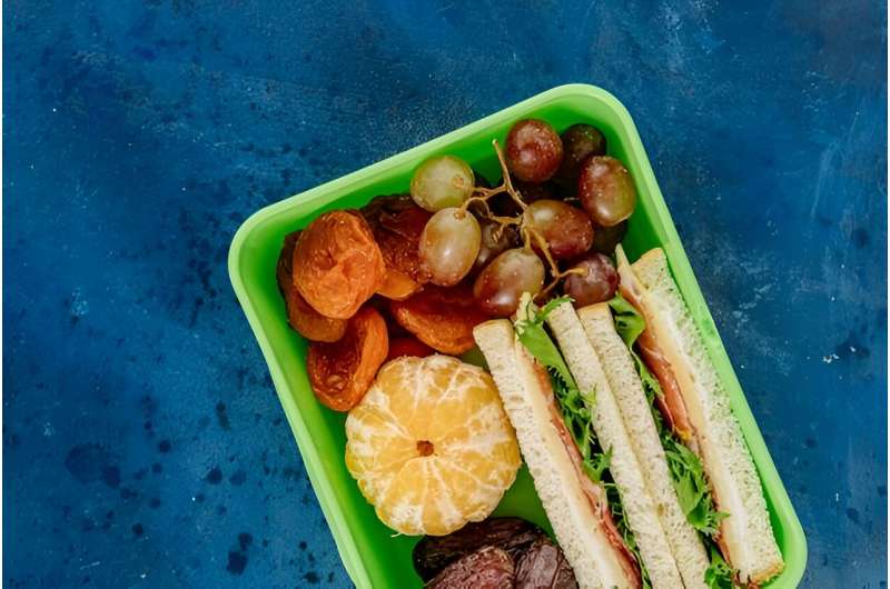 Lunchboxes should contain a mix of foods for energy, growth and health. Credit: Antoni Shkraba/ Pixels, CC BY