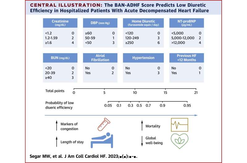 Credit: JACC: Heart Failure (2023). DOI: 10.1016/j.jchf.2023.09.029