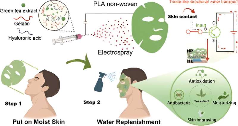 Abstract. The cosmetics industry has a worrying impact on the environment, including the plastics used in products and packaging and environmentally unfriendly additives. In this study, we present an environment-friendly triode-like facial mask (TFM) that utilizes only green and degradable raw materials, nontoxic and harmless solvents, and electric energy to achieve distinct switchable directional water transport properties, avoids a wet storage environment, and reduces excessive packaging. The TFM demonstrates droplet stability when not in contact with the skin while facilitating rapid liquid transfer (15 μL) within durations of 2.8 s (dry skin) and 1.9 s (moist skin) upon contact. We elucidate the underlying mechanism behind this triode-like behavior, emphasizing the synergistic interaction of the wettability gradient, Gibbs pinning, and additional circumferential capillary force. Moreover, the TFM exhibits a reduction in the proportion of aging cells, decreasing from 44.33 to 13.75%, while simultaneously providing antibacterial and skin-beautifying effects. The TFM brings a novel experience while also holding the potential to reduce environmental pollution in the production, packaging, use, and recycling of cosmetics products. Credit: ACS Applied Materials & Interfaces (2023). DOI: 10.1021/acsami.3c15815