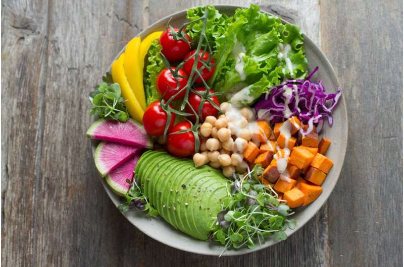 Do different plant-based diets affect pregnancy and birth outcomes? 