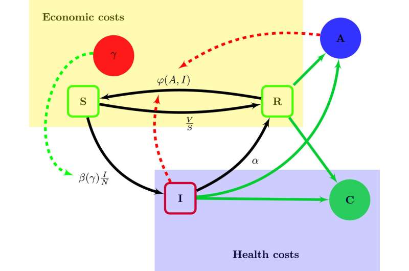 Flow diagram of the epidemiological model. Compartments are illustrated with boxes, while the other state variables are represented with circles. Arrows denote flows (solid lines) and functional dependencies (rates; dashed lines) within the model. Credit: Theoretical Population Biology (2024). DOI: 10.1016/j.tpb.2024.02.002