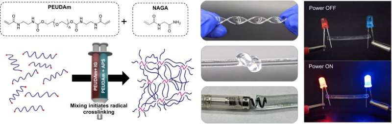 Design of injectable hydrogel electrode. Redox initiation reaction of polyether urethane diacrylamide (PEUDAm) macromer + N-acryloyl glycinamide (NAGA) delivered using double barrel syringe with a mixing head. Ammonium persulfate (APS) and iron gluconate (IG) are used as initiator and reducing agents. Resulting hydrogels display bidentate hydrogen bonding at netpoints for improved durability. Ionic conductivity is conferred through the inclusion of salt species in the hydrogel precursor solution. Credit: Nature Communications (2024). DOI: 10.1038/s41467-023-44419-0