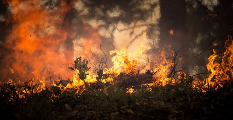 Indoor air quality in long-term care facilities during wildfires is worse than you'd think, says toxicologist 