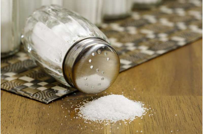 Building a better salt substitute: New formula helps reduce high blood pressure 