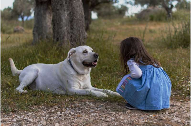 How to help children and the family dog stay safe when they play together 