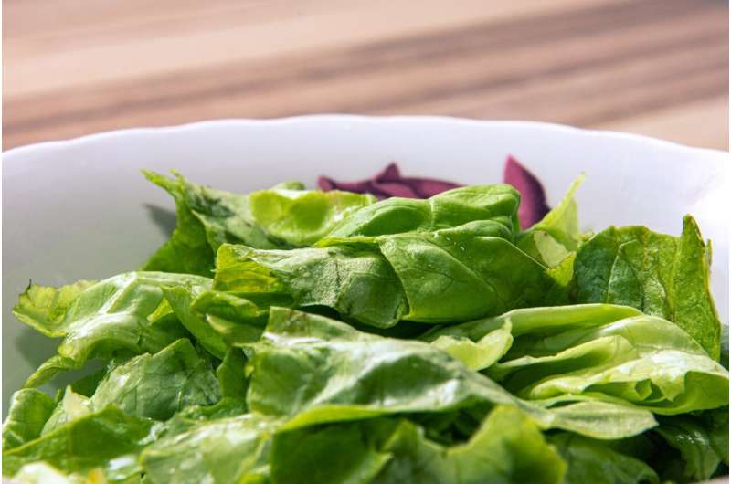 Eating leafy greens could be better for oral health than using mouthwash 