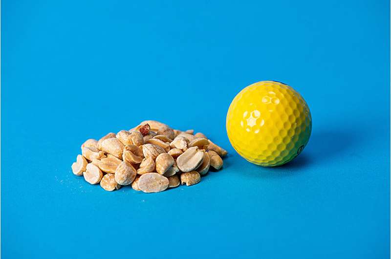 Photo illustration of a serving of nuts, approximately the size of a golf ball. Credit: Alonso Nichols/Tufts University