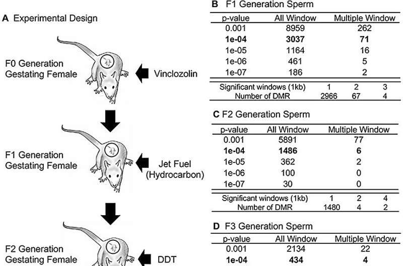 Multi-generational toxicant exposures show cumulative, inherited health effects