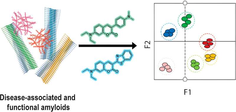 Credit: ACS Sensors (2024). DOI: 10.1021/acssensors.3c01334