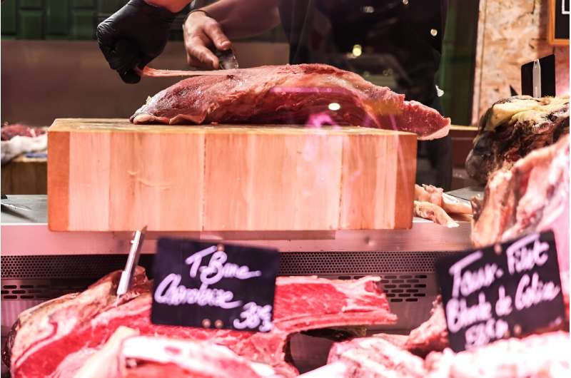 France makes mincemeat of 'veggie steak' label 