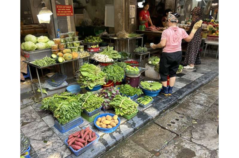 Despite the rise of "modern" distribution channels (e.g., supermarkets, convenience stores), traditional wet markets continue to account for approximately 90% of total vegetable sales in Hanoi. Credit: Eliot Gee / Alliance of Bioversity International and CIAT