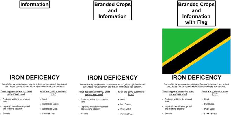 Example of information provided to the information groups. Credit: Global Food Security (2024). DOI: 10.1016/j.gfs.2024.100745