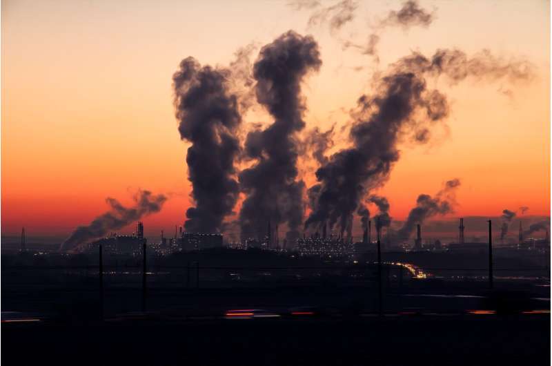 Scientists recreate alveolar epithelium in a lab to understand how polluted air can affect your health 