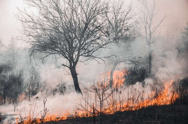 Bushfire smoke affects children differently. Here's how to protect them 