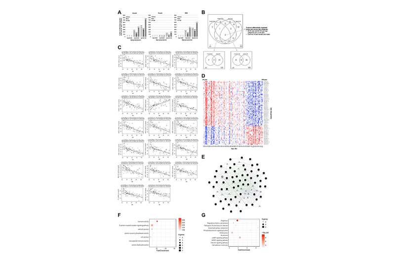 Genome-wide transcriptome profiling and development of age prediction models in the human brain