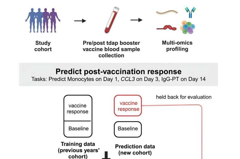 Scientists compete to make best predictions about pertussis vaccine 