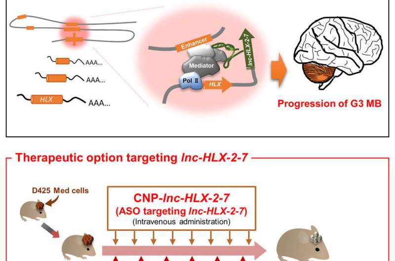 RNA-based therapy shows promise against aggressive childhood brain tumors in mice