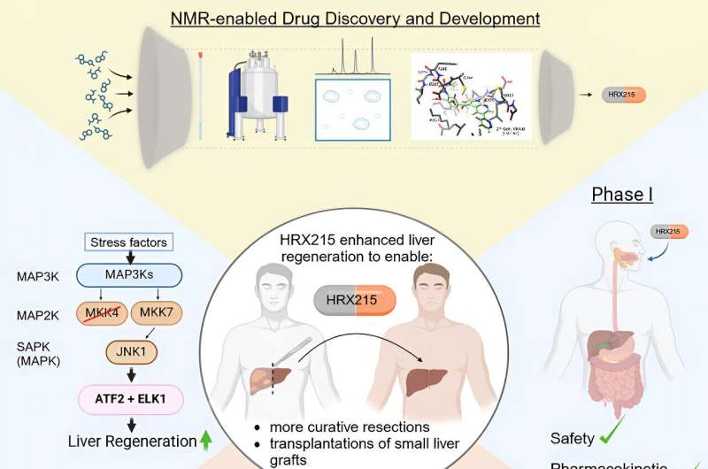 Next milestone in the treatment of liver tumors and acute and chronic liver diseases