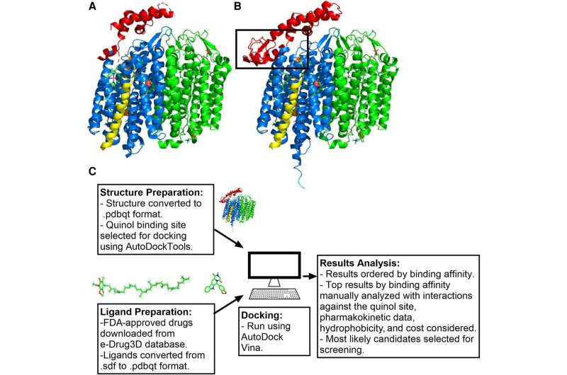 Steroid drugs used for HRT can combat E. coli and MRSA  