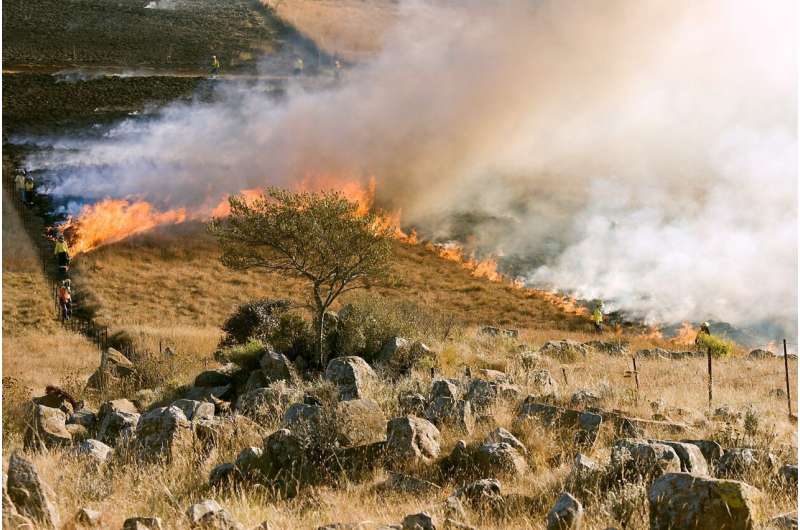 Bushfires in Victoria: How to protect yourself if the air is smoky where you live 