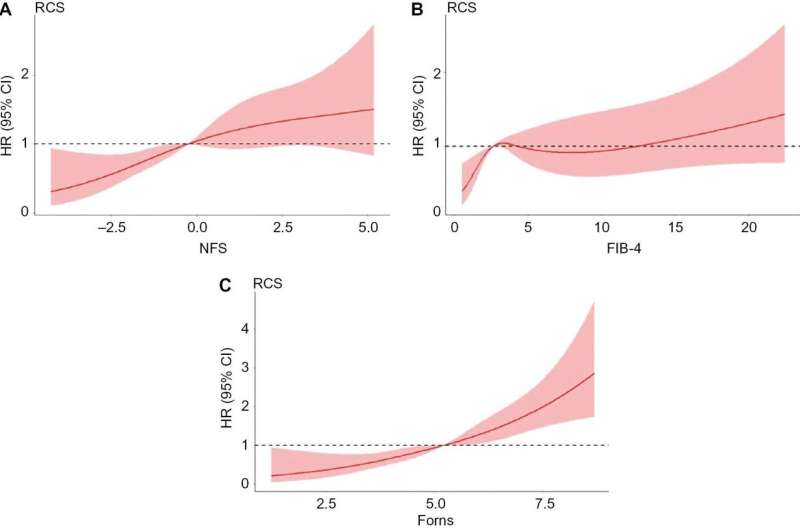 Restricted Cubic Spline Plot of Liver Fibrosis Scores and Risk of MACEs. (A) NFS; (B) FIB-4; (C) Forns score. NFS, nonalcoholic fatty liver disease fibrosis score; FIB-4, fibrosis-4. Credit: Cardiovascular Innovations and Applications (2024). DOI: 10.15212/CVIA.2023.0095