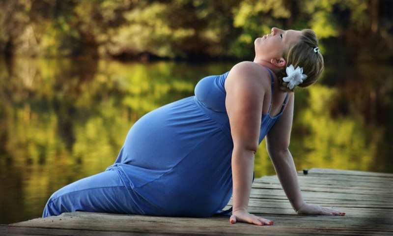 Study shows importance of coaching as part of lifestyle programs for women planning pregnancy 