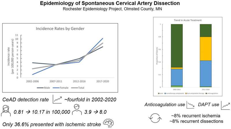 Credit: Stroke (2024). DOI: 10.1161/STROKEAHA.123.043647