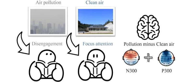 Study reveals air pollution's distracting effect on attention, unveiling underlying neurocognitive mechanisms 