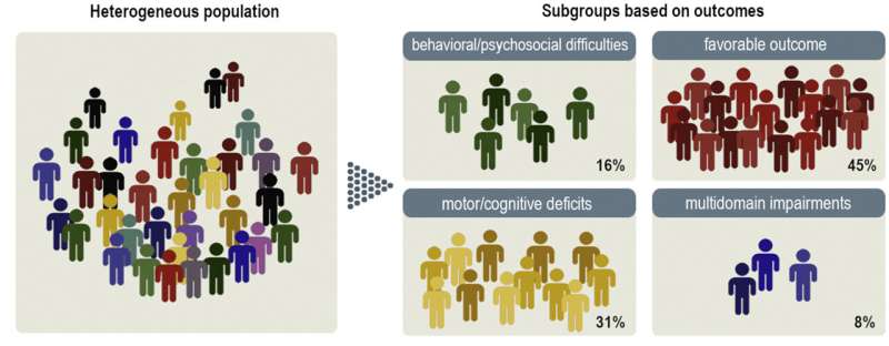 How do children develop after being born very preterm? Four likely outcomes