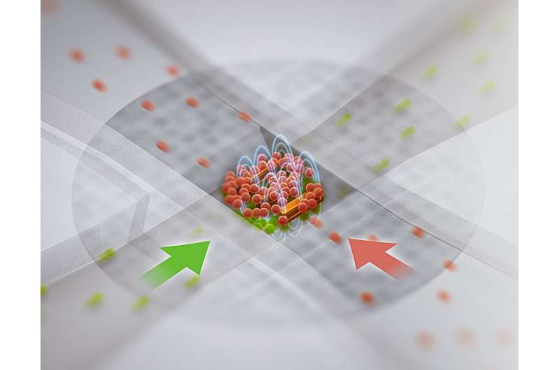 Artist’s rendering of an organ-on-a-chip device used to study cancer cells (red) and endothelial cells (green), a type of tissue that lines the interior surface of blood vessels. This close-up shows two overlapping channels with a thin semi-permeable membrane between them. Electrodes are used to trap cells in each channel, allowing researchers to observe cell-to-cell interactions between the two types of cells on the chip. Credit: Sean Kelley/NIST