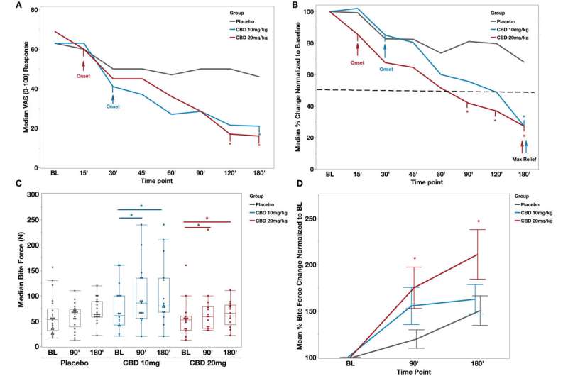 CBD reduced the dental pain and increased the bite force in patients presented with emergency toothache. (A) Median visual analog scale (VAS) pain scores per time point for all groups. Arrows indicate the onset of significant pain score differences from baseline (BL) for the cannabidiol (CBD) groups. Asterisks depict significant differences from the placebo group. Mixed-model analysis, “time point” (P &lt; 0.001), “Group * Time Point” (P = 0.0013), and “Group” (P = 0.55). (B) Median percent change from BL. The dotted line represents a 50% reduction in BL pain. Maximum pain relief occurred at 180 min after CBD administration in both CBD groups, significantly different from the placebo. Placebo also experienced pain relief with a maximum of 33% median pain reduction from BL pain. Asterisks depict significant differences from the placebo group. Wilcoxon test for intergroup comparisons, P &lt; 0.05. (C) Box plots depicting median bite force (Newton) scores per time point for all groups. Both CBD groups noted a significant increase in bite force at 90 and 180 min compared to BL, while placebo group changes were not significant. Mixed-model analysis, “time point” (P &lt; 0.001), “Group * Time Point” (P = 0.28), and “Group” (P = 0.19). (D) Mean percent bite force change normalized to baseline. Asterisks depict significant change in CBD 20 mg/kg compared to the placebo group (t test each pair per time point, P &lt; 0.05). Credit: Journal of Dental Research (2023). DOI: 10.1177/00220345231200814