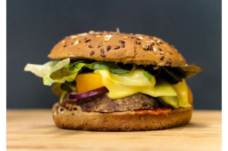 Vegetarian burger. Credit: Unsplash/CC0 Public Domain