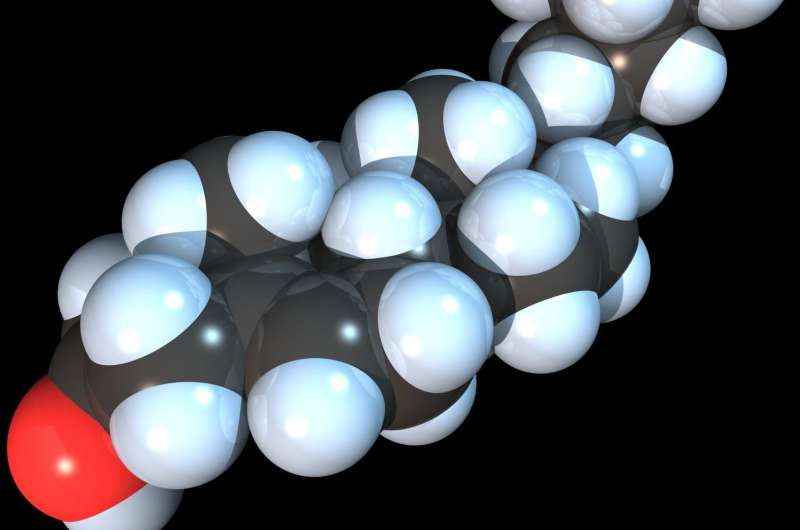 Space-filling model of the Cholesterol molecule. Credit: RedAndr/Wikipedia