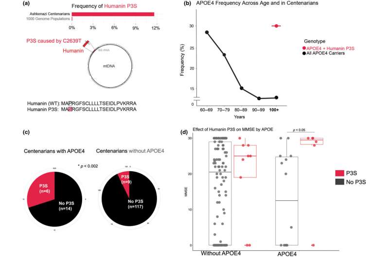 Newly discovered beneficial mutation in mitochondrial DNA seems to help Alzheimer's gene carriers live longer