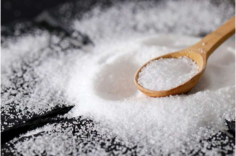 Salt seekers: Sodium reduction initiative thwarted by consumers 