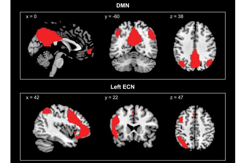 Study shows that 'transcendent' thinking may grow teens' brains over time