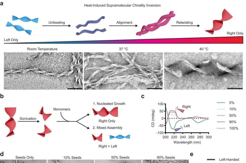 Researchers design novel drug delivery system that could reverse Alzheimer's disease impact