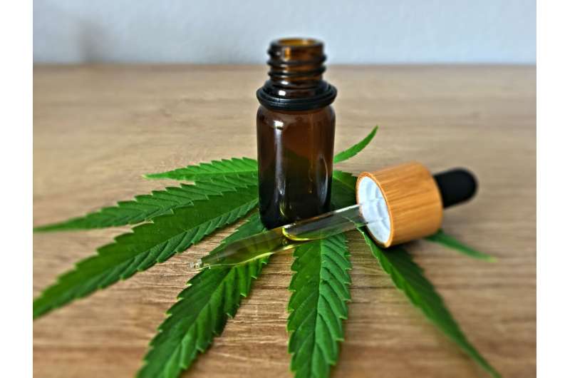 CBD products don't ease pain and are potentially harmful, study finds