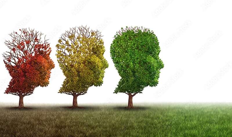 Research team identifies new treatment target for Alzheimer's disease