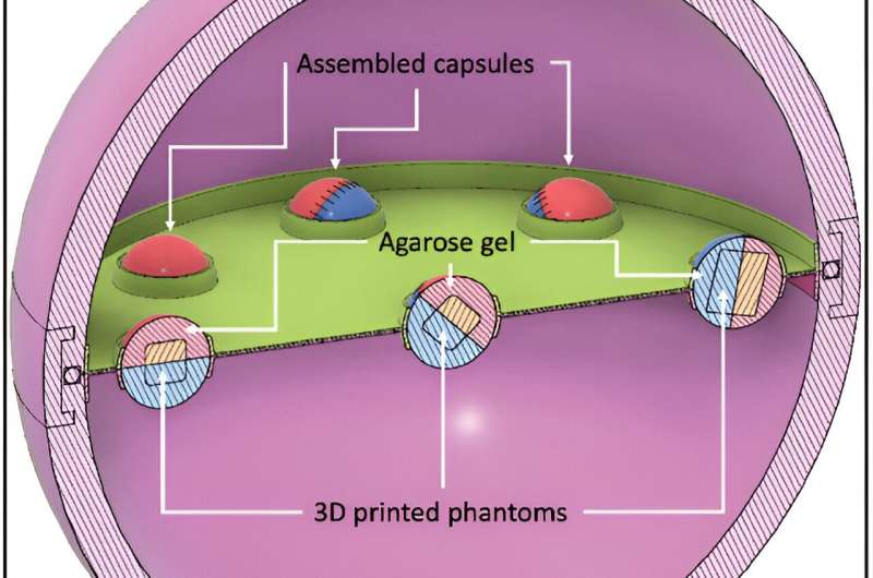 World's first high-resolution brain model created with 3D printer