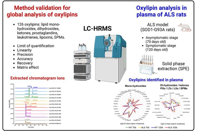 Novel method facilitates study of oxidized lipids involved in neurodegenerative diseases