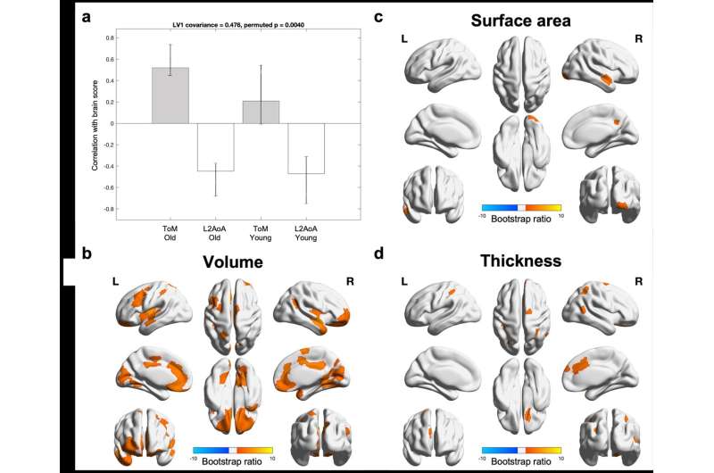 Learning a second language helps maintain a socially healthy brain in old age