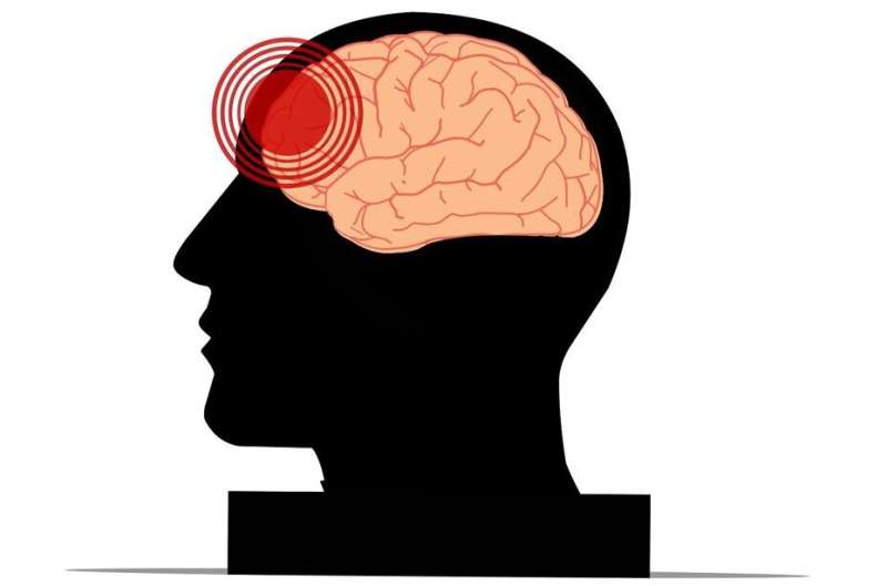 Researchers find branched chain amino acid supplementation may aid in concussion recovery