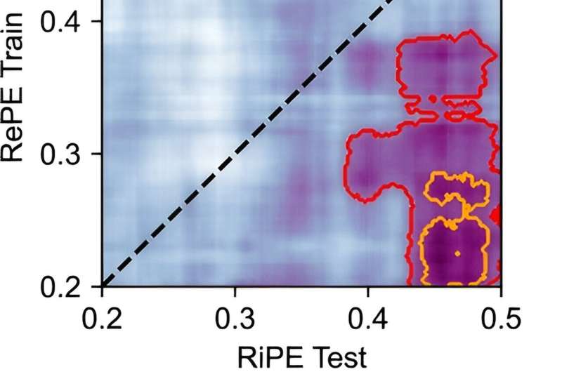 When does the brain process reward and risk? Neuroscientists test a computational model