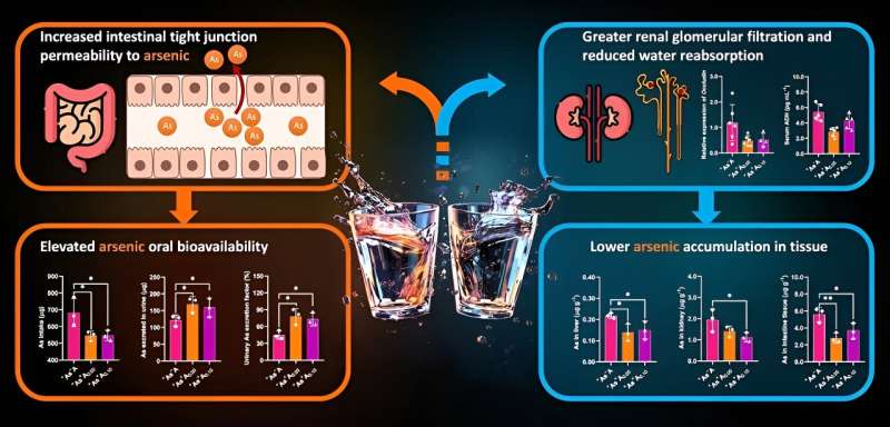 Alcohol may help flush out arsenic from the body, study finds