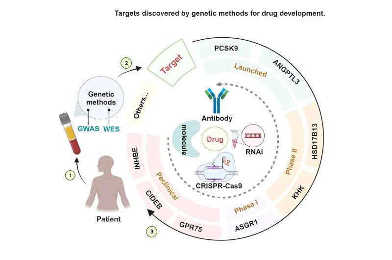 Drug development advances in beneficial loss-of-function mutation targets validated by human genetics