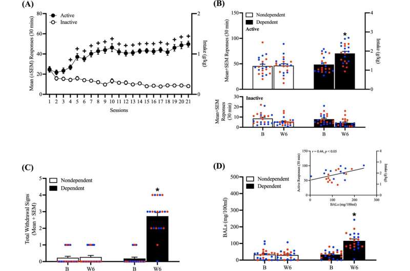 How blocking a neural receptor responsible for addiction could reduce alcohol use