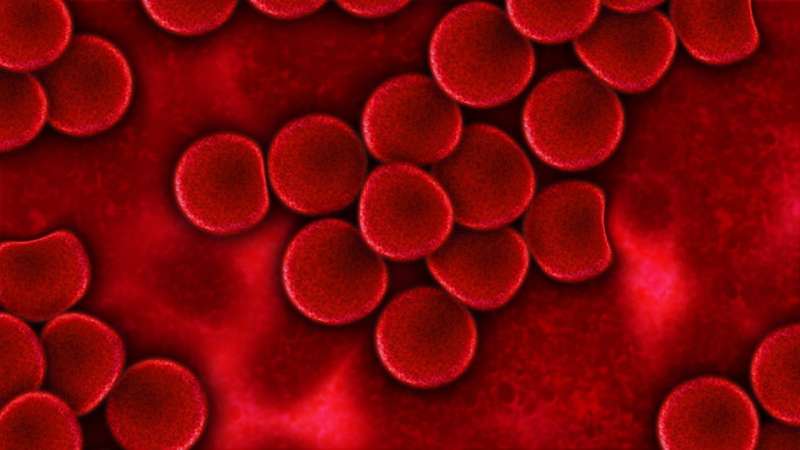 Researchers identify new biomarker in quality of blood donations 