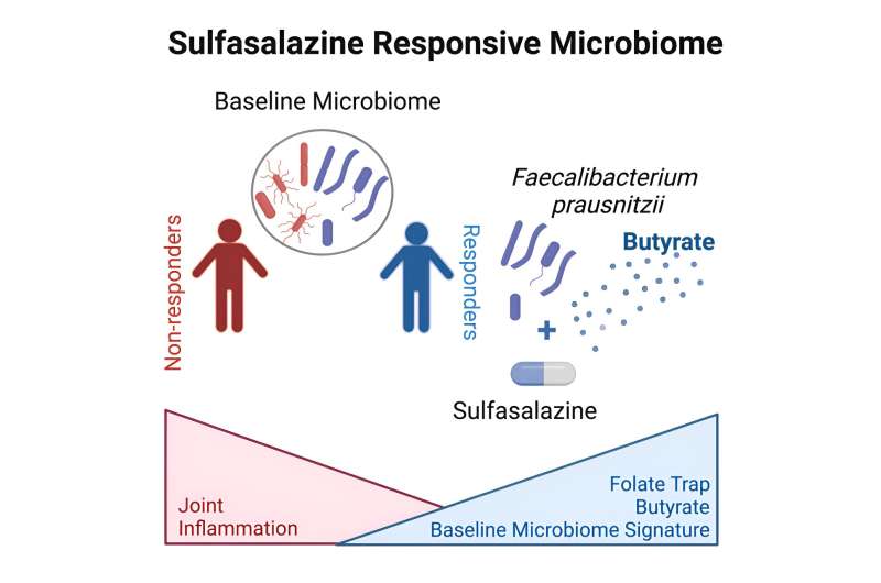 New insight into old IBD drug could improve treatments 